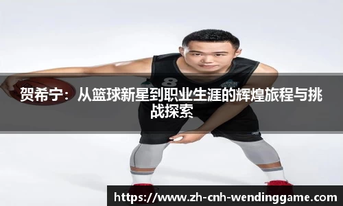 贺希宁：从篮球新星到职业生涯的辉煌旅程与挑战探索