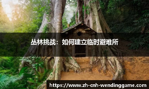 问鼎娱乐官网